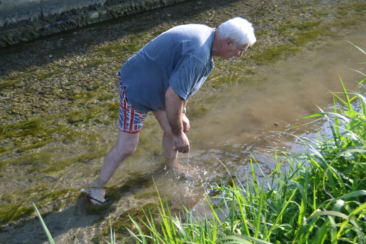Moria di pesci a Roccafranca: l’allarme arriva da Ludriano