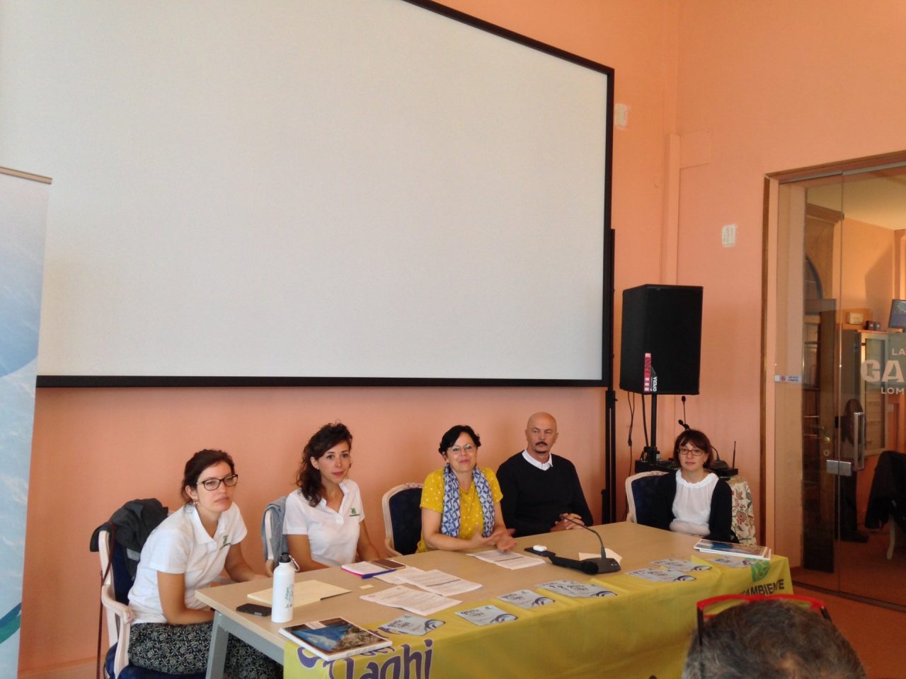 Goletta dei laghi sul Garda lombardo: due punti fortemente inquinati