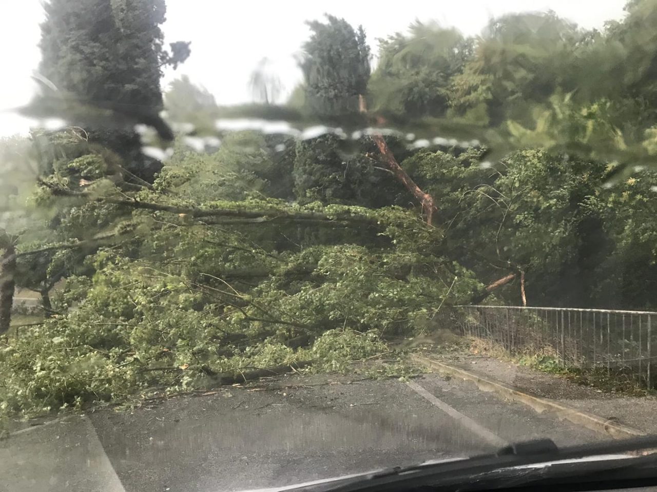 Maltempo: alberi crollati a Puegnago e strada allagata a Polpenazze