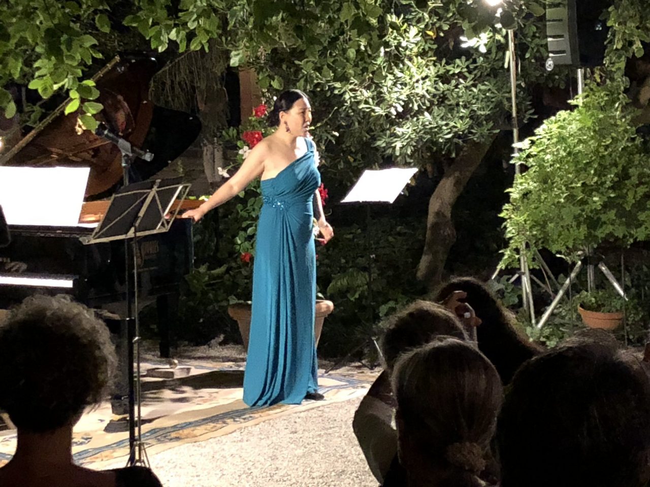 Un parco emozionante, una serata magica: grande successo per Note di Luna ad Asola FOTO e VIDEO