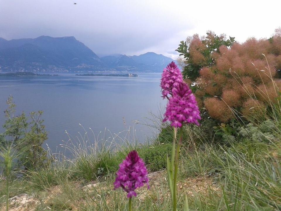 Trash Tag Challenge: la gara di raccolta rifiuti a Manerba del Garda