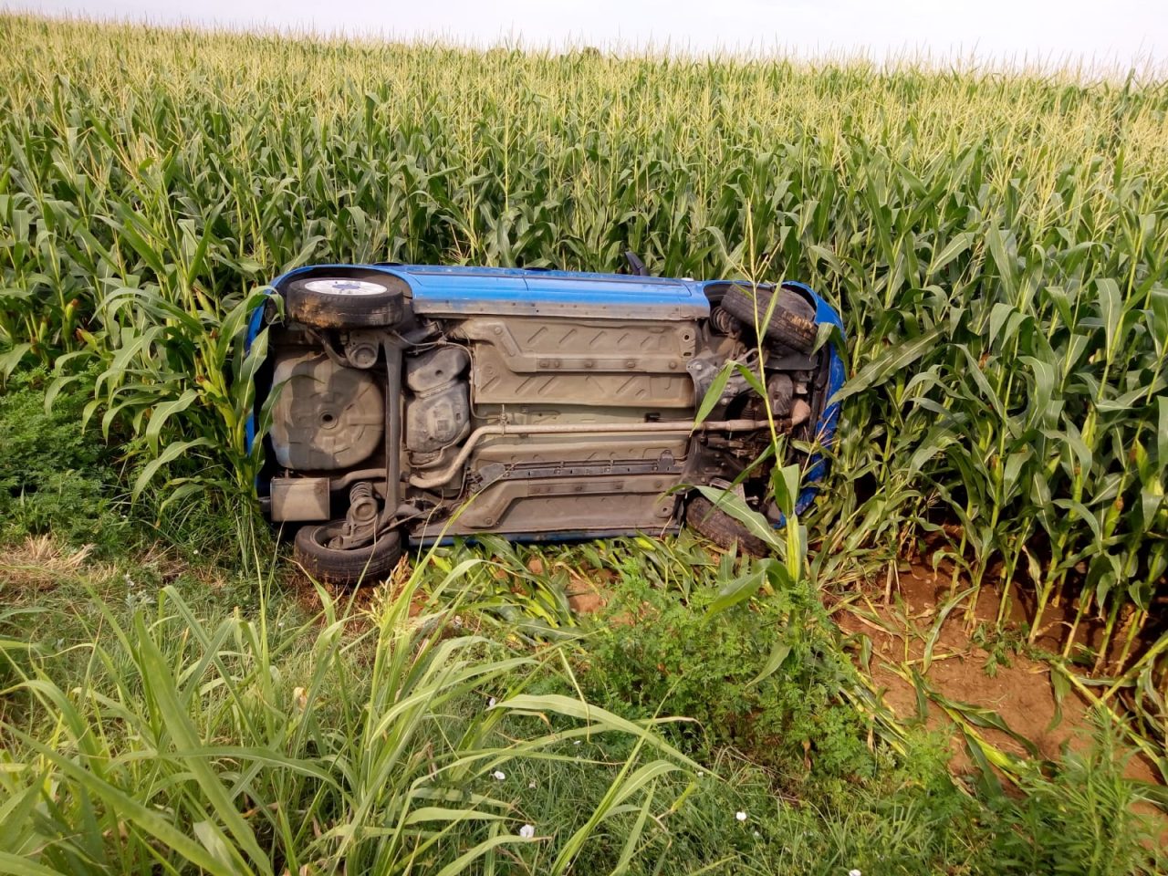 Ribaltamento a Chiari sulla Sp18