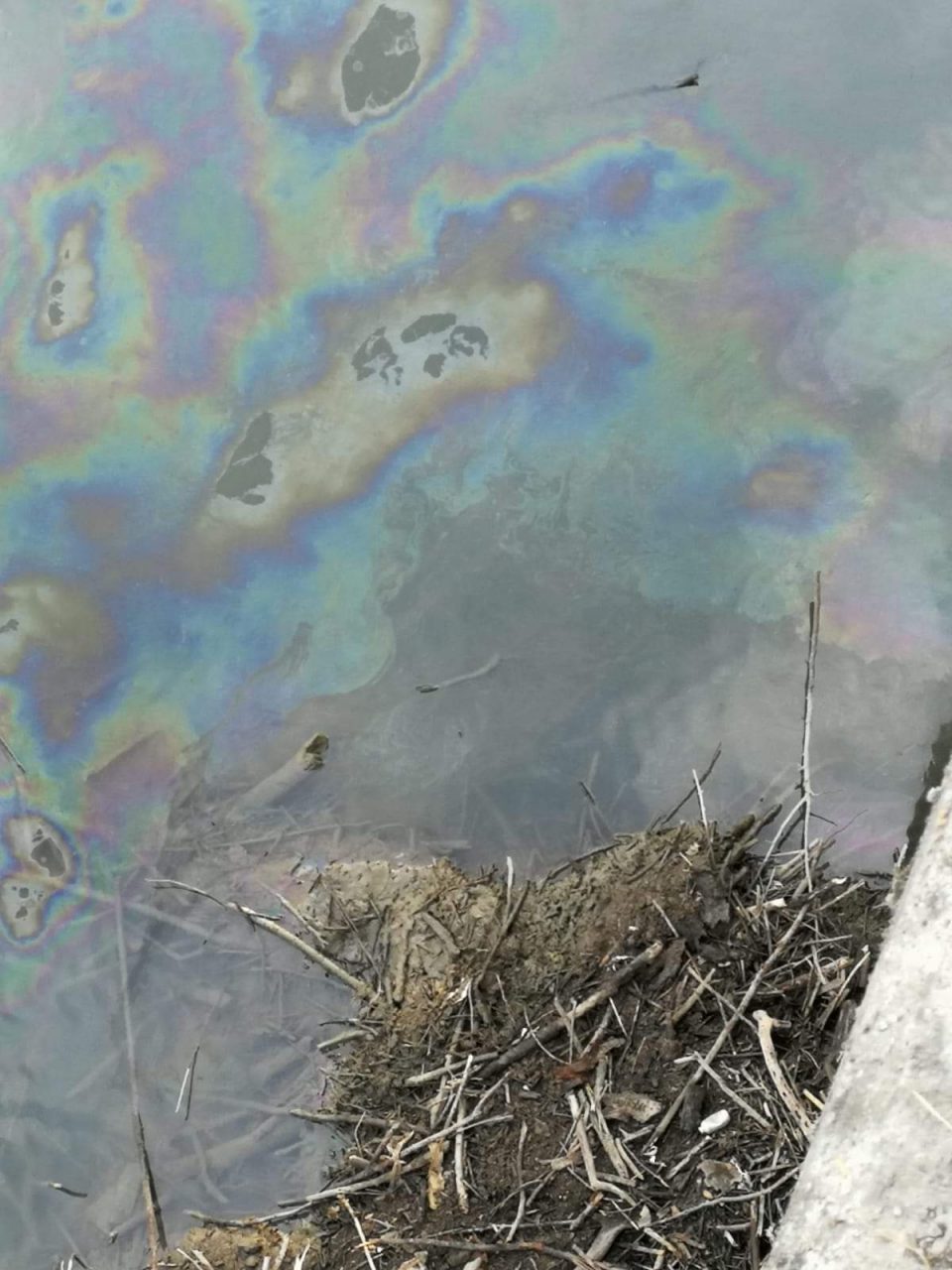 Pavone: emergenza ambientale nella notte