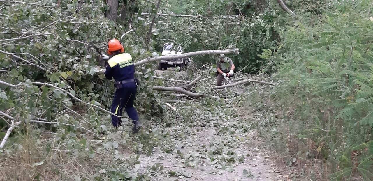 Crollano gli alberi attorno alla loro auto, le Gev salvano una famiglia