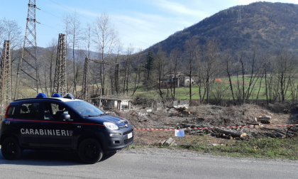 Disboscamenti e sbancamenti abusivi: carabinieri in azione con denunce e sanzioni