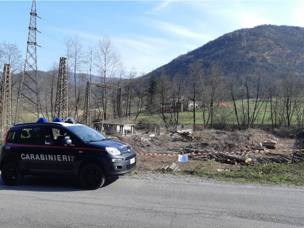 Disboscamenti e sbancamenti abusivi: carabinieri in azione con denunce e sanzioni