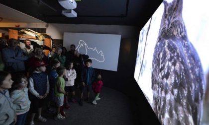 Gran Paradiso Film Festival, record di presenze FOTO E VIDEO