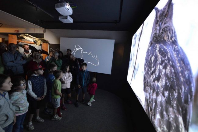 Gran Paradiso Film Festival, record di presenze FOTO E VIDEO