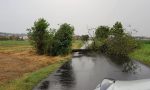 Vigili del Fuoco in azione sulla statale 343. Alberi caduti sulla strada all'altezza di Carpenedolo