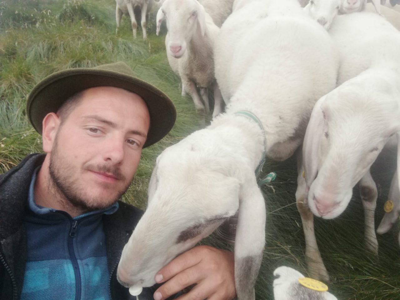 Da Ghedi a Ponte di Legno: a 29 anni guida un gregge di 600 pecore