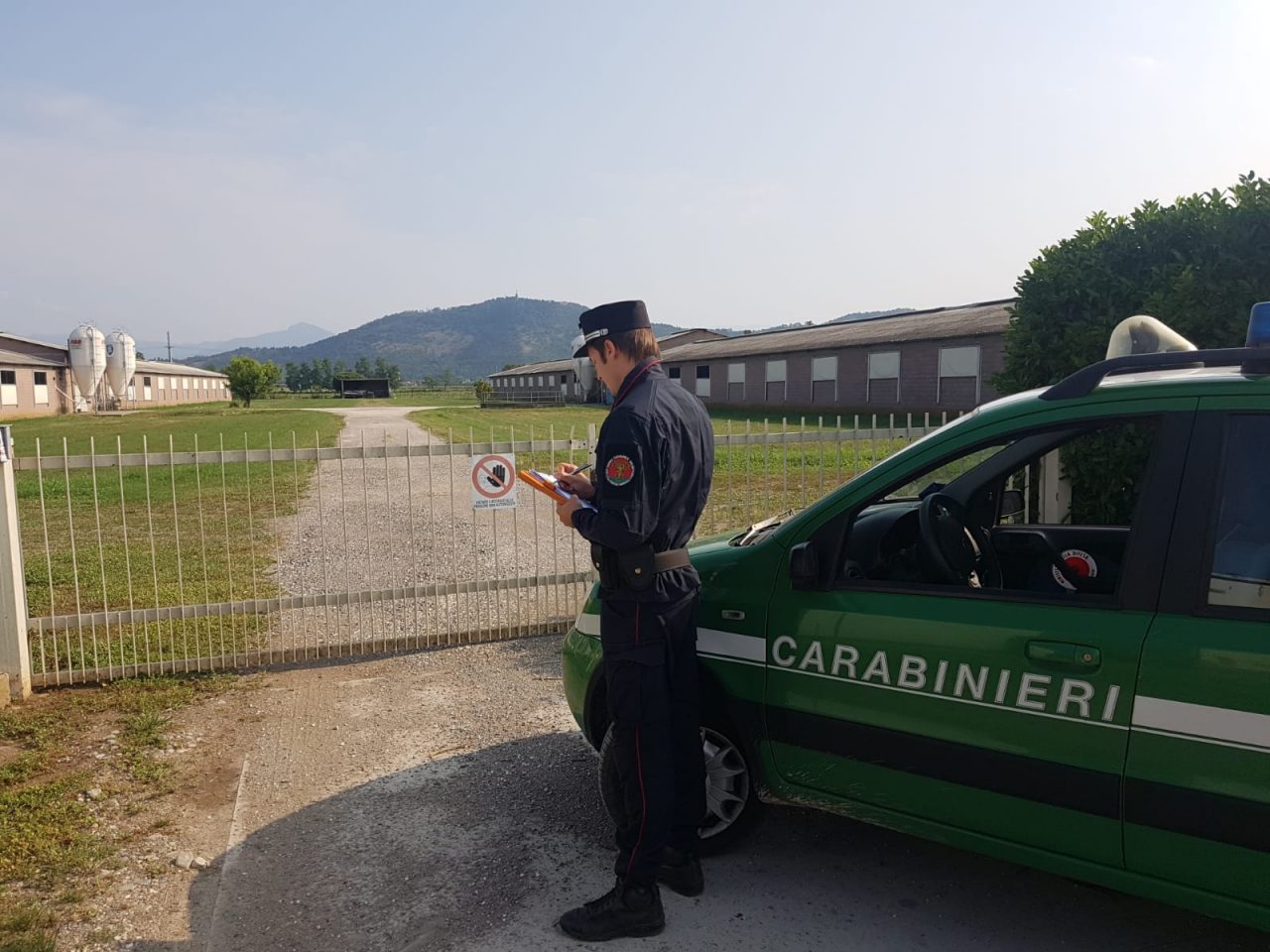 Strage di galline in Franciacorta, denunciato l’allevatore