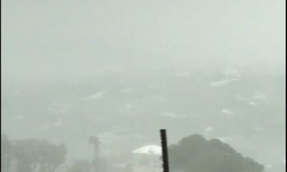 Tempesta e grandine sul Bresciano: caduti molti alberi