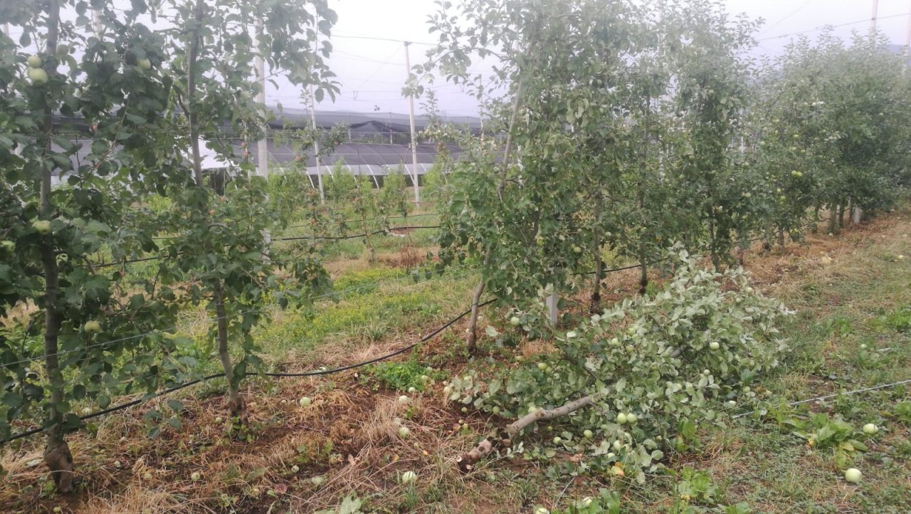 Maltempo Brescia. Coldiretti: “Colpite le produzioni agricole e danni alle strutture” FOTO