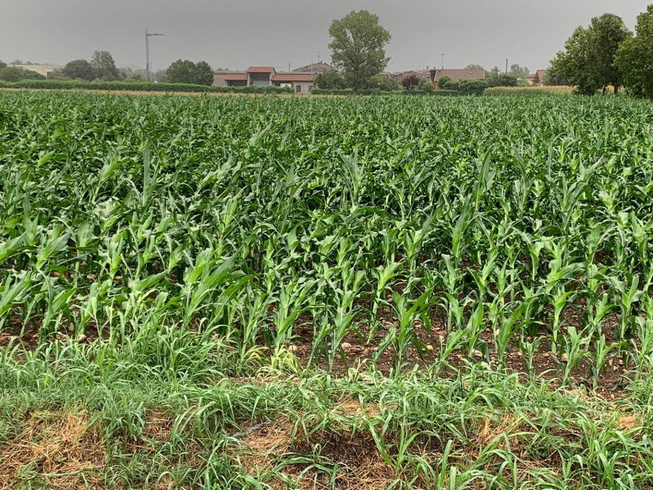 Il maltempo flagella la Lombardia: “Grande preccupazione per i danni”