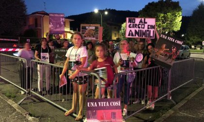 Picchetto di protesta al circo Arbell di Iseo
