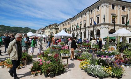 Salò Garda Flowers Summer Edition in arrivo a settembre