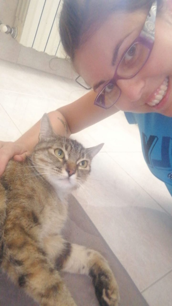 Colpi di fucile contro il gatto a Mairano che rischia di rimanere paralizzato