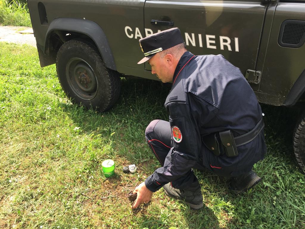 A caccia di uccelli protetti: due bracconieri rischiano il carcere