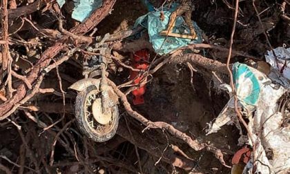 Si sradica un albero in via Donatori a Orzinuovi, dal sottosuolo emergono i rifiuti