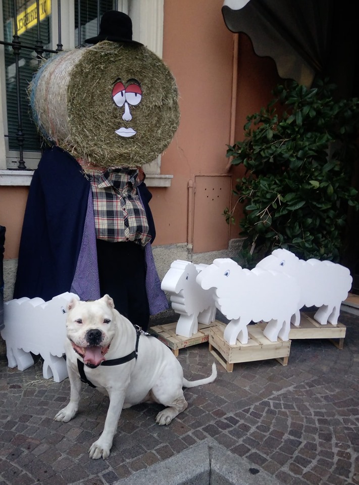 In archivio la Festa dei Fontanì a Trenzano