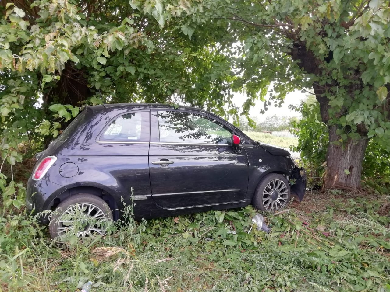 Contro un albero e poi nel campo: grave una donna a Ghedi