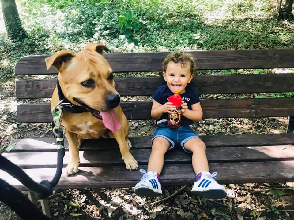 Mamma e figlia cadono dalla bici per “colpa” di un randagio