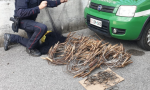 Bracconiere recidivo arrestato dai Carabinieri Forestali