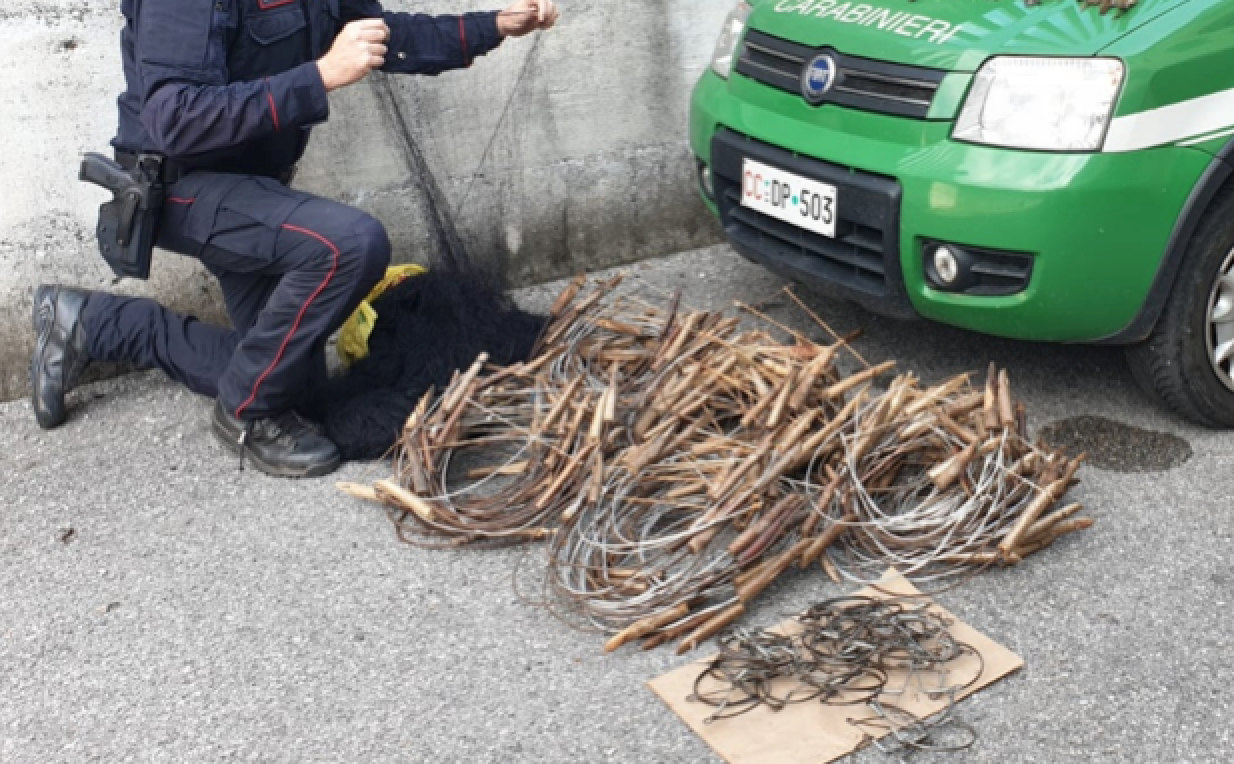 Bracconiere recidivo arrestato dai Carabinieri Forestali