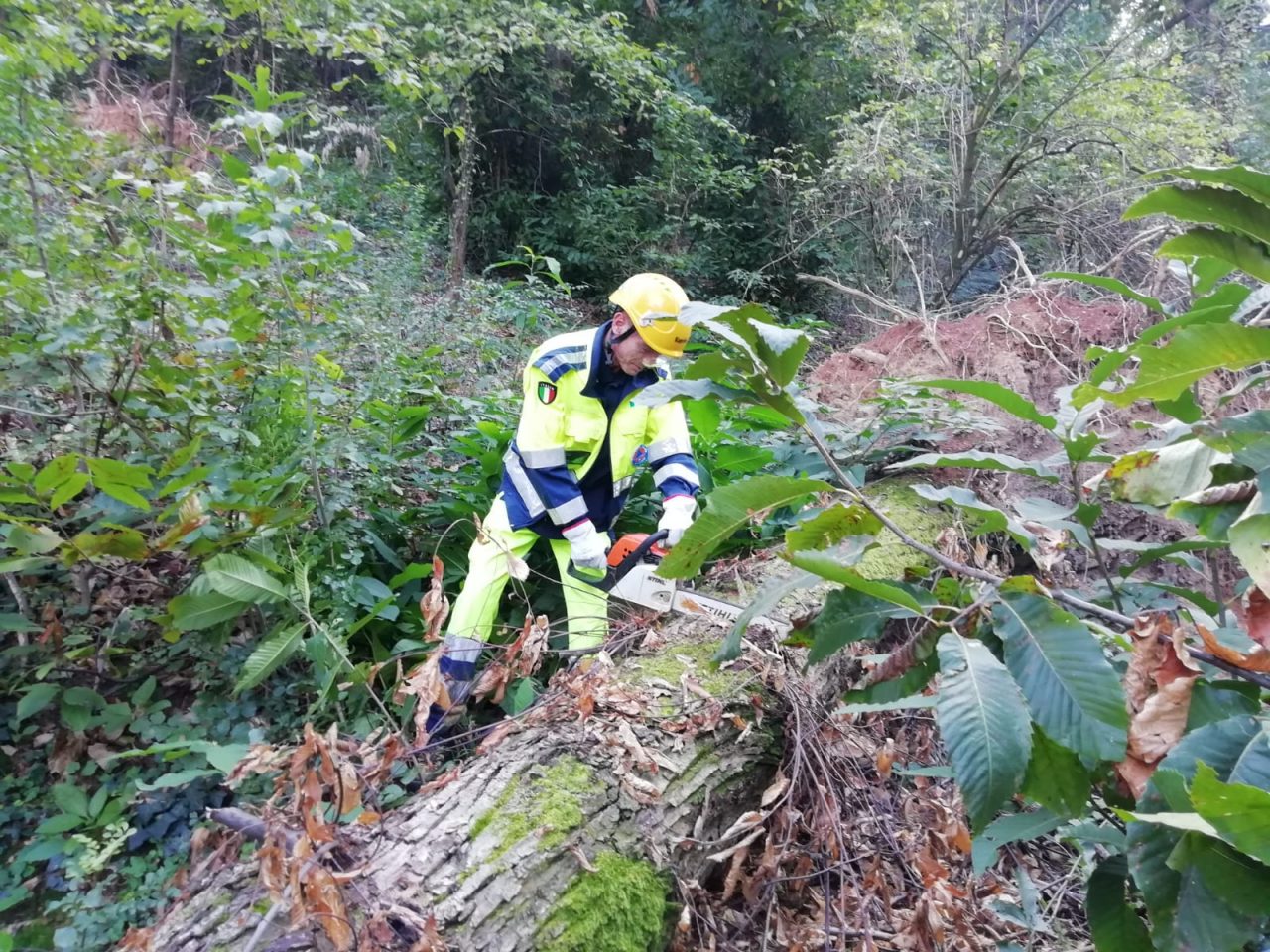 Al lavoro per ripulire i sentieri del Montorfano