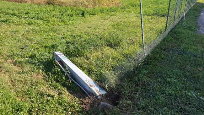 Sfonda la recinzione dell’allevamento e le lepri scappano