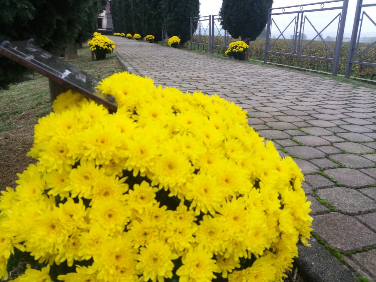 Fiori a Borgonato per ricordare chi ha combattuto in guerra