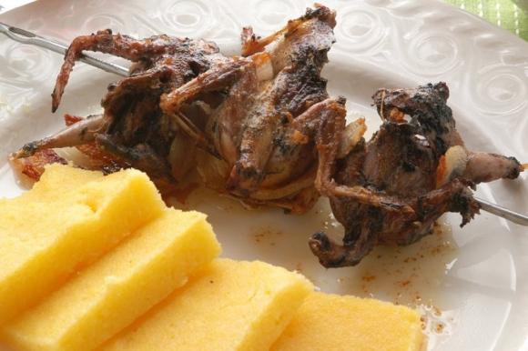 Polenta e osei… da denuncia, nei guai un ristoratore