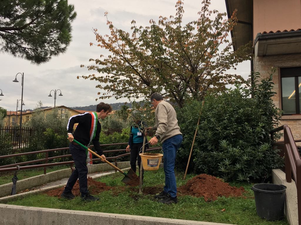 Festa dell’albero, sette nuovi albero verranno piantati in biblioteca a Salò