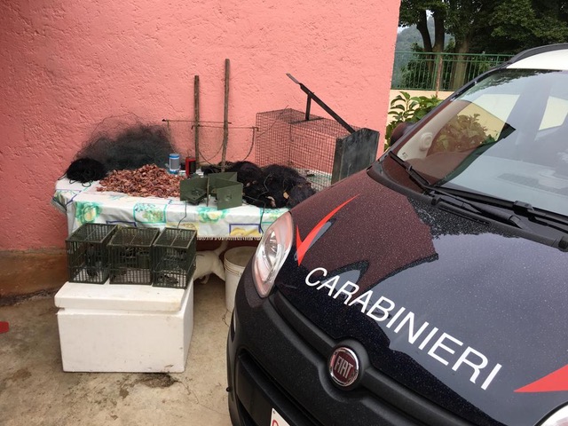 Brescia: conclusa l’Operazione Pettirosso