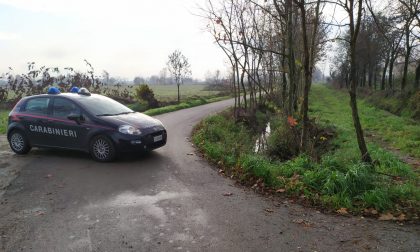 Uccide la compagna e poi si impicca al parco