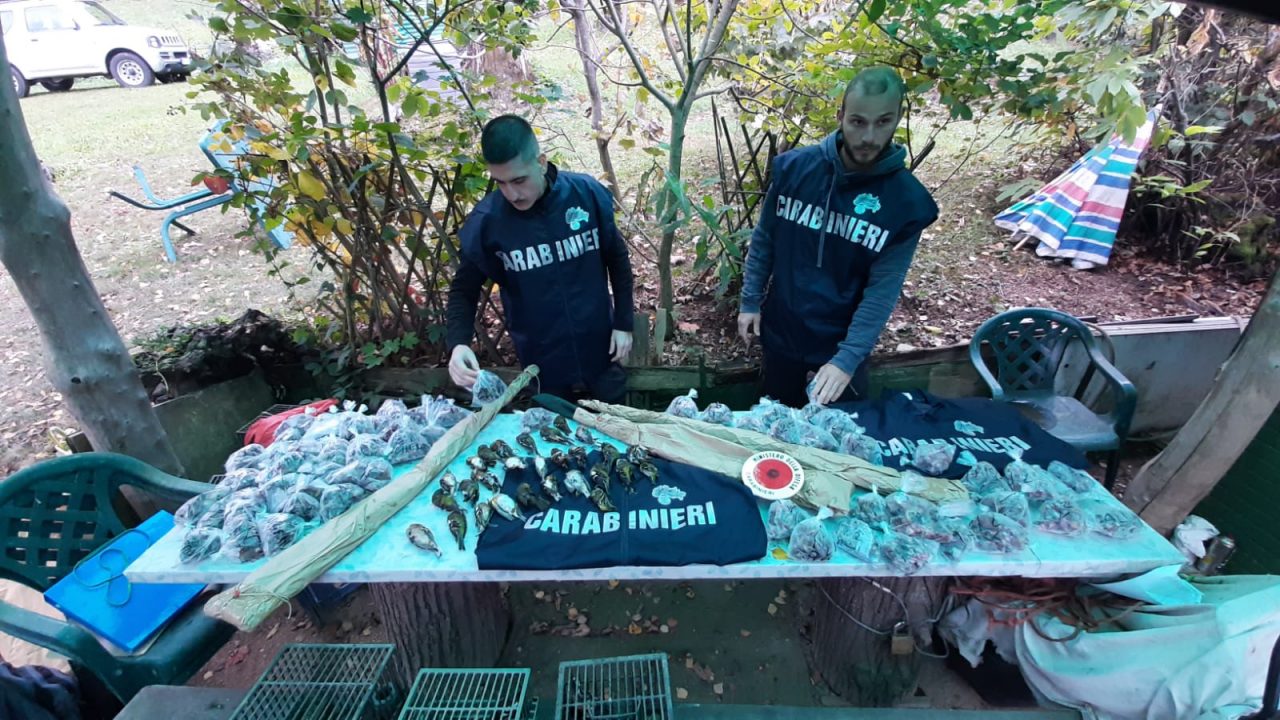 Denunciati 130 bracconieri e salvati migliaia di uccelli