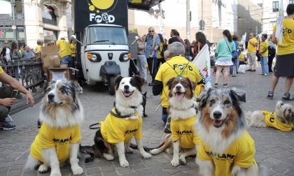 Arcaplanet inaugura un nuovo Pet store a Brescia