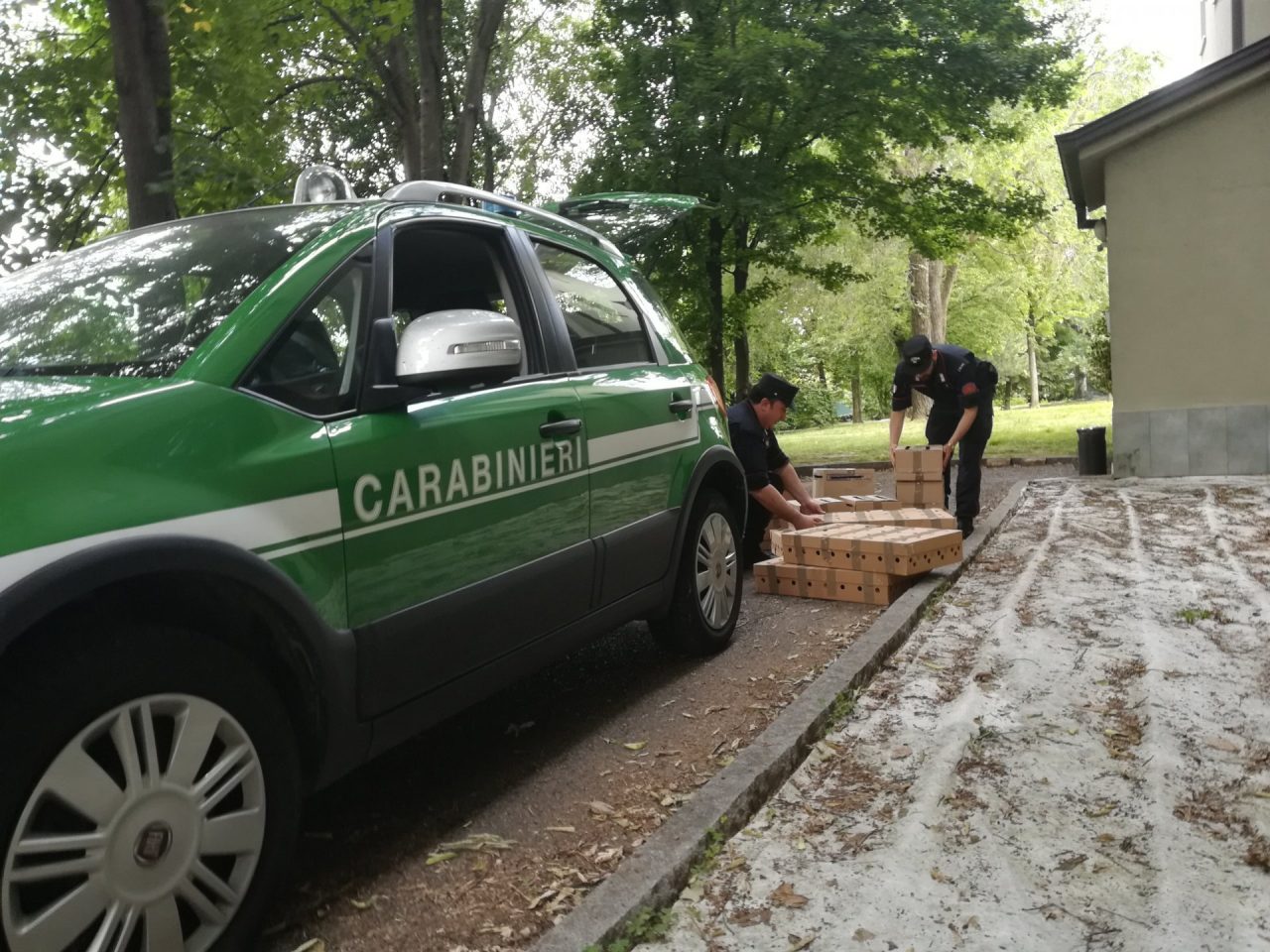 Catturavano e rivendevano uccelli protetti: nei guai cinque persone