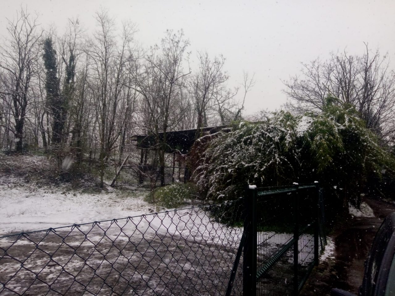 Dramma in una cascina: clochard trovato senza vita