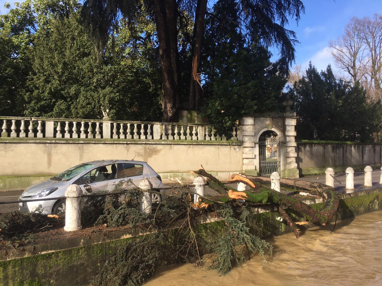 Si stacca un ramo e crolla su un’auto: miracolata la conducente