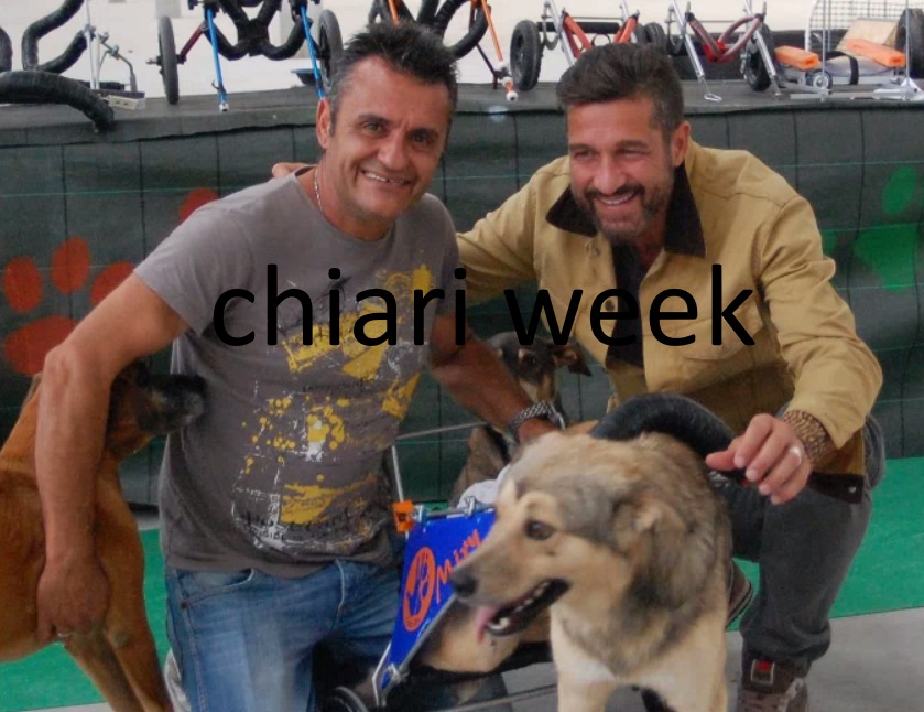 Nessun maltrattamento assolto il fondatore di Casa Bau