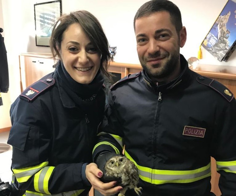 Fermato il traffico in autostrada per salvare una civetta