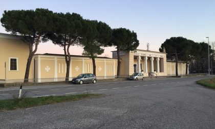 Addio ai pini secolari di Gambara: scoppia la polemica