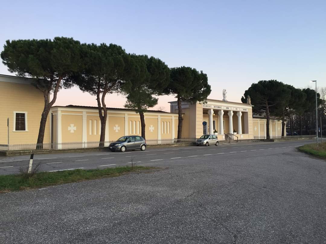 Addio ai pini secolari di Gambara: scoppia la polemica