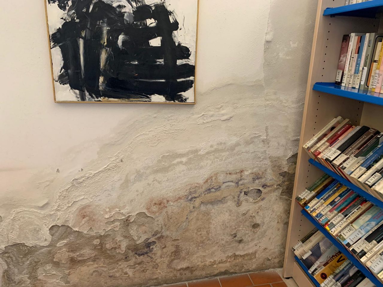 Stop ai disservizi della biblioteca grazie agli studenti?