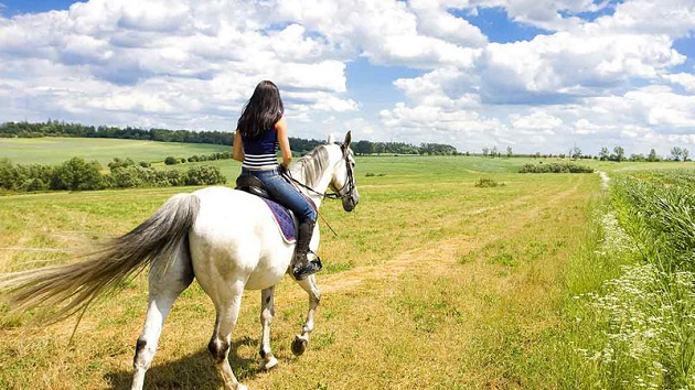 Cade da cavallo, 60enne finisce in ospedale