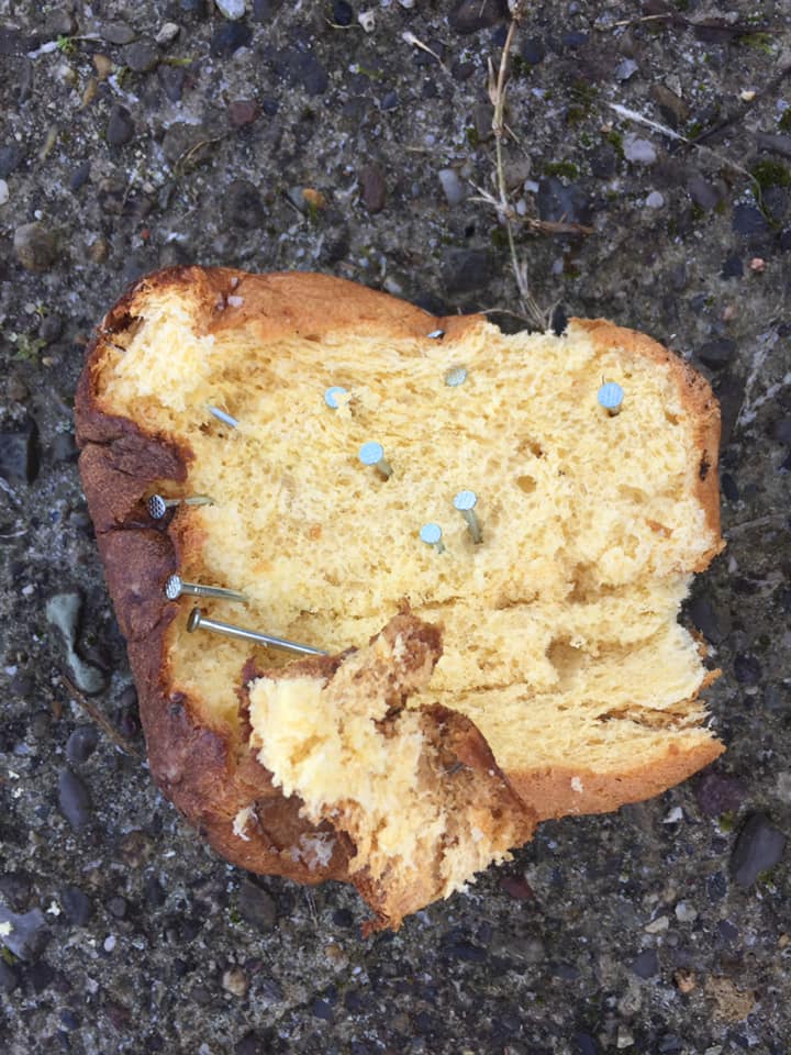 Un pandoro farcito di chiodi ritrovato nel parcheggio