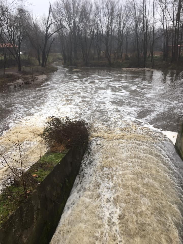 Rogge inquinate nella Bassa, sanzionati due agricoltori