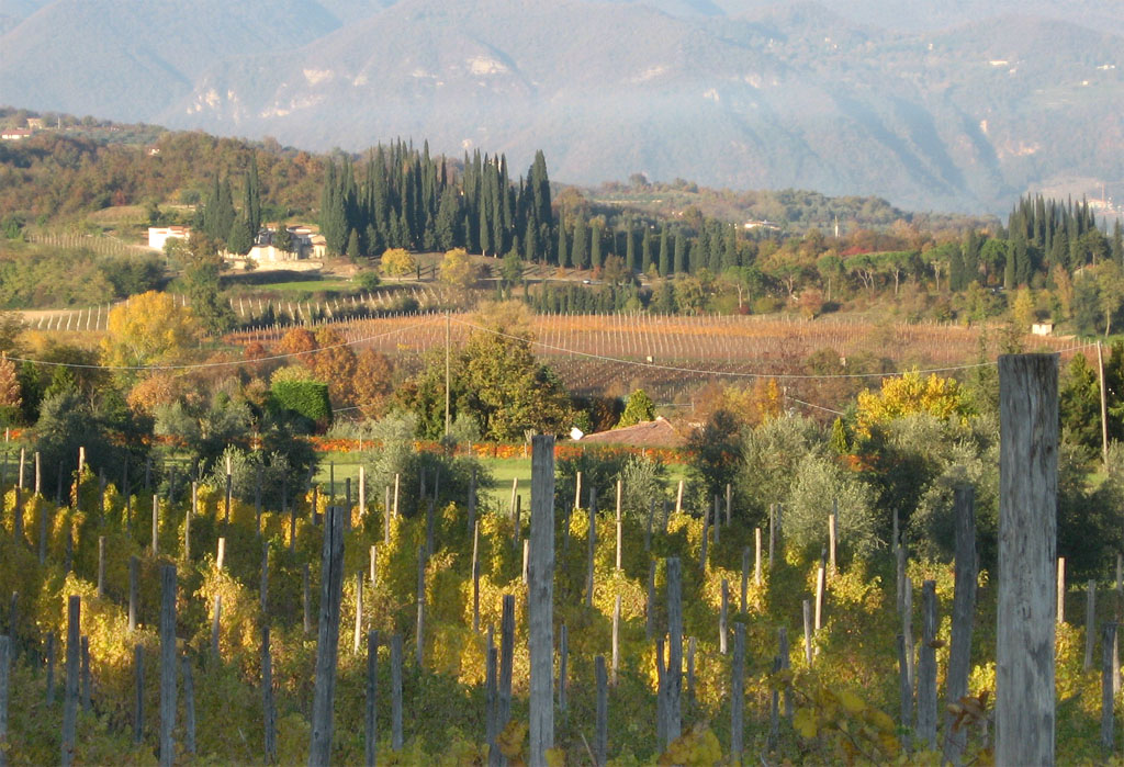 L’Unione Comuni Valtenesi è al capolinea