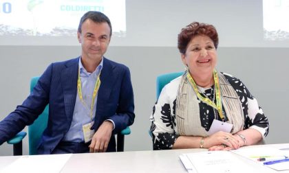 Ministro Bellanova alla Fazi di Montichiari: «Il Governo deve recuperare sobrietà» VIDEO